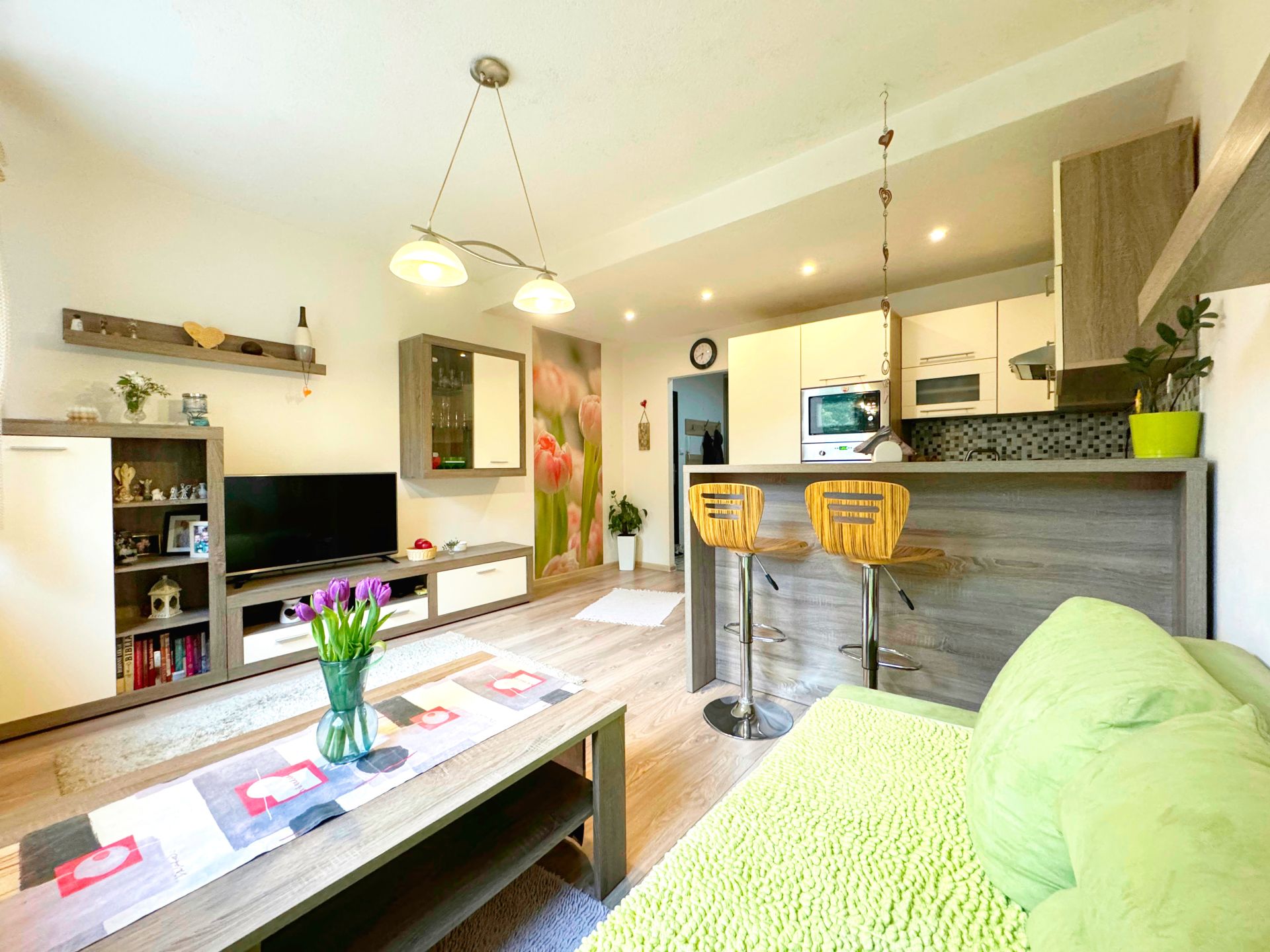 VEĽKOMETRÁŽNY 1 IZBOVÝ BYT, 48 m2, Martin - Záturčie